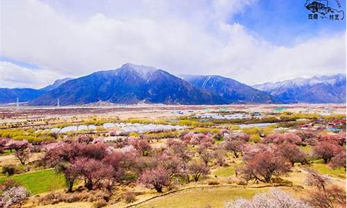 林芝5月旅游攻略游攻略_林芝4-5月旅游