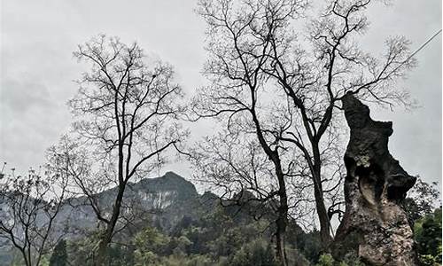 马蜂窝自由行攻略云南_马蜂窝云南旅游攻略