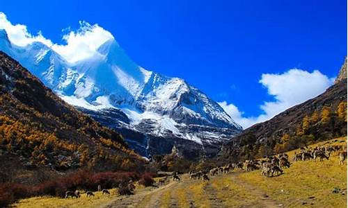 稻城亚丁旅游攻略景点大全_稻城亚丁旅游攻略携程