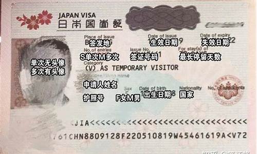 如何办理日本自由行签证流程操作_日本自由行旅游签证