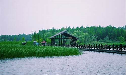 上海到泰州二日自助游攻略_上海到泰州溱湖湿地公园两日游