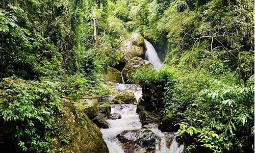 高黎贡山旅游度区好玩吗_高黎贡山旅游