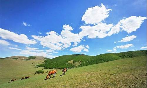 丰宁坝上草原旅游攻略2天自驾游_丰宁坝上草原旅游攻略2天自驾游多少钱