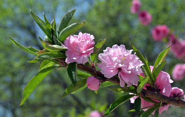 西山公园停车场怎么收费_西山公园停车场怎