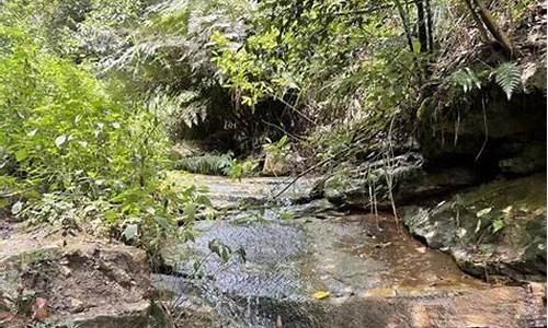 玉峰山森林公园步道_玉峰山森林公园步道多长